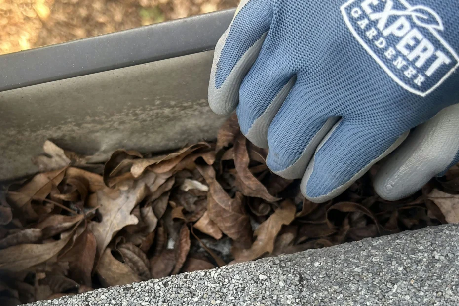 Gutter Cleaning The Colony TX