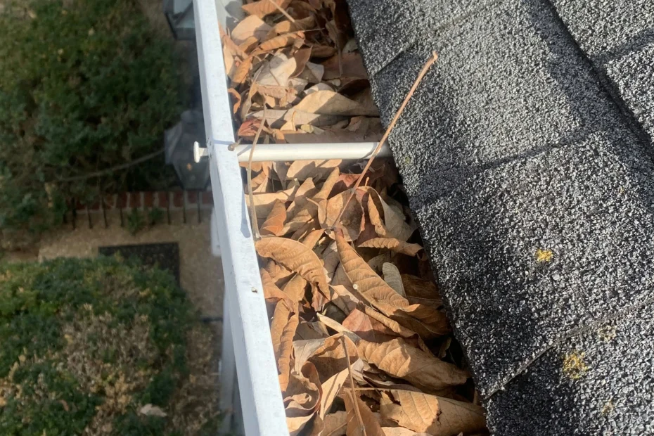 Gutter Cleaning The Colony TX