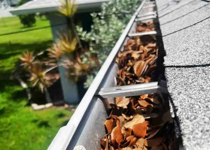 Gutter Cleaning The Colony TX home page